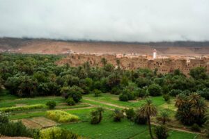 morocco-nature-trips
